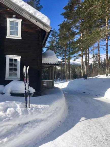 Breiva Gjestegaard Og Glamping Bo, Telemark Bagian luar foto